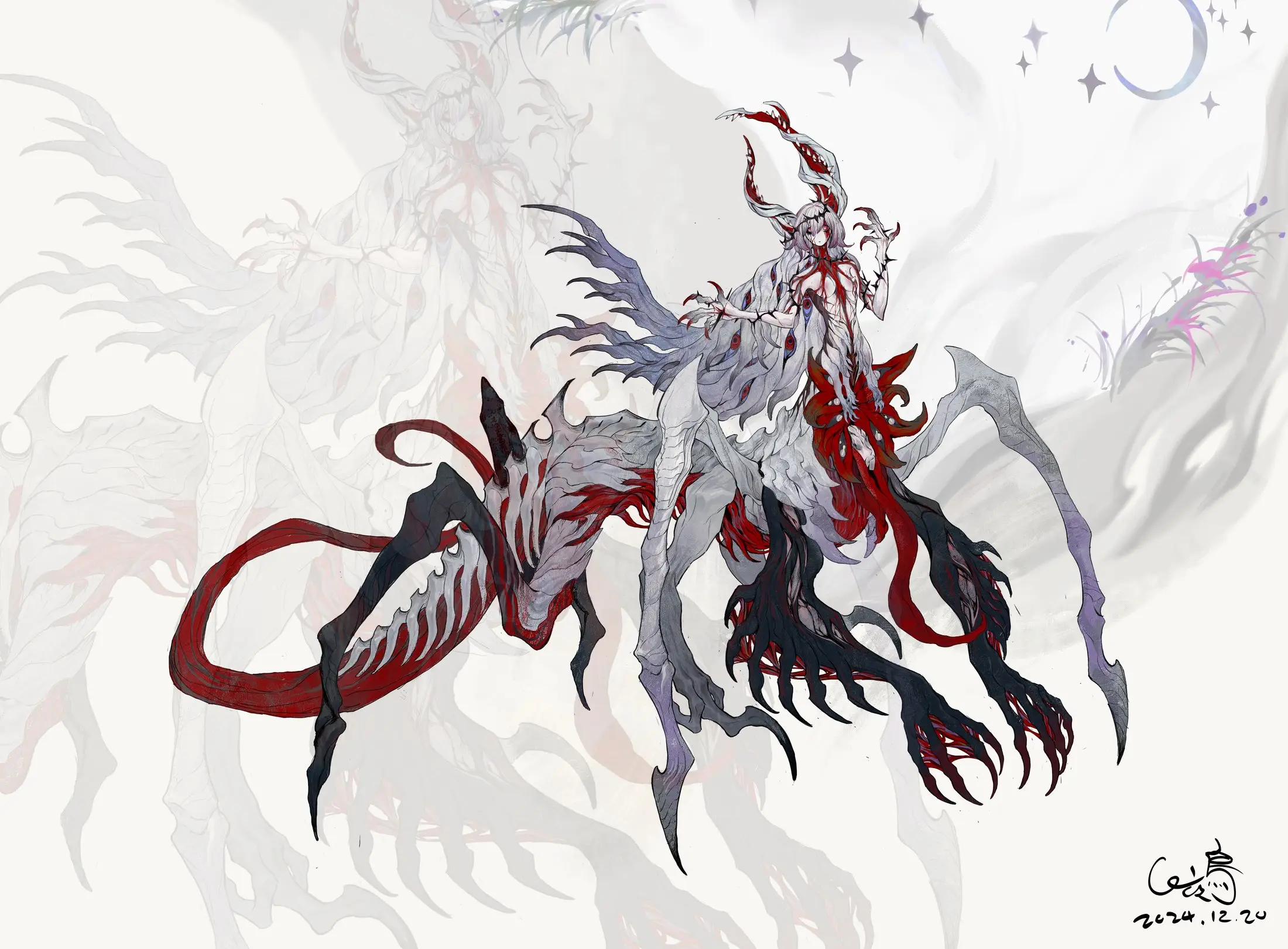 绯蛛 · Arachne cruenta