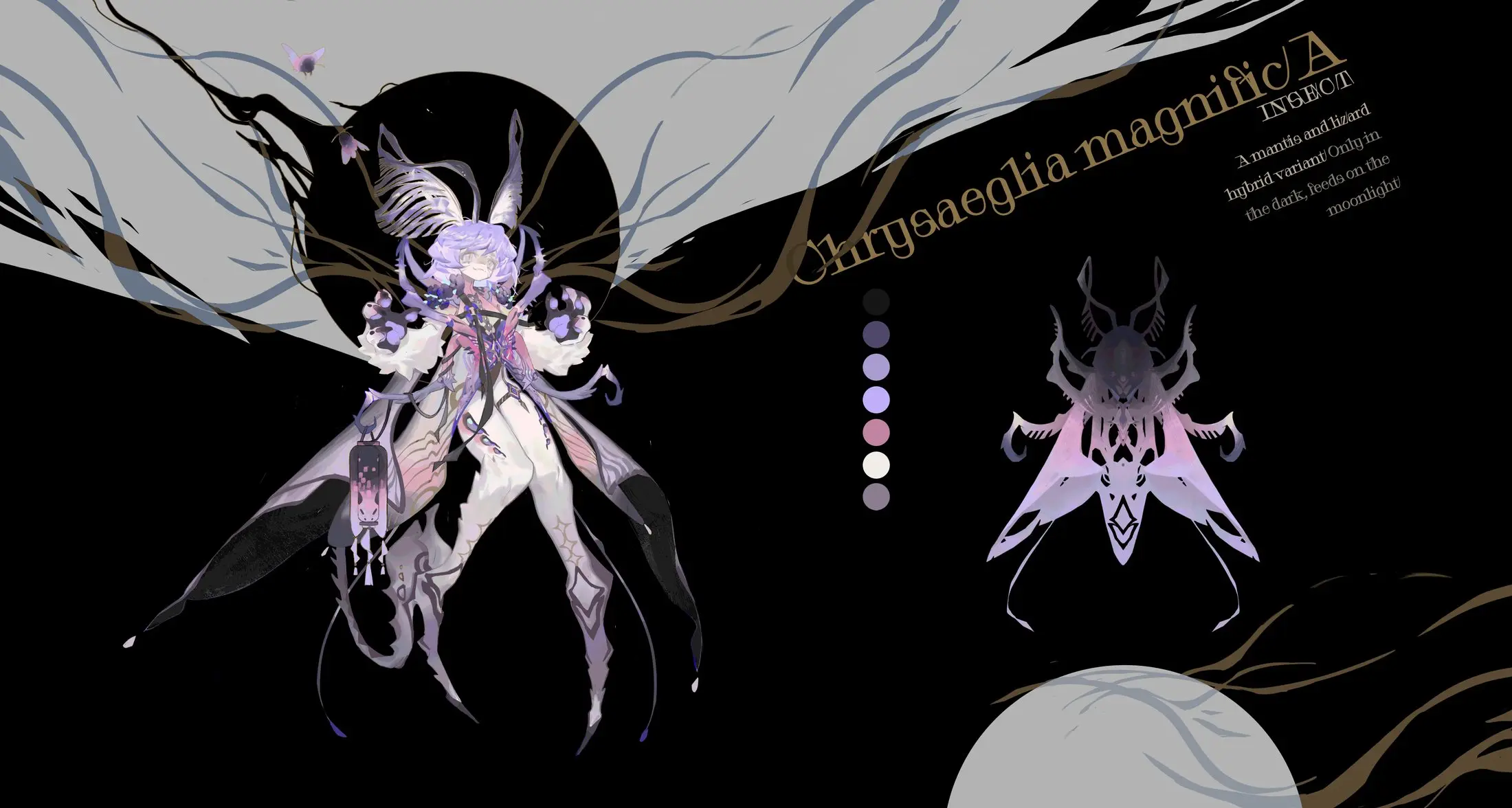 噬月蛾 · Chrysaeglia magnifica