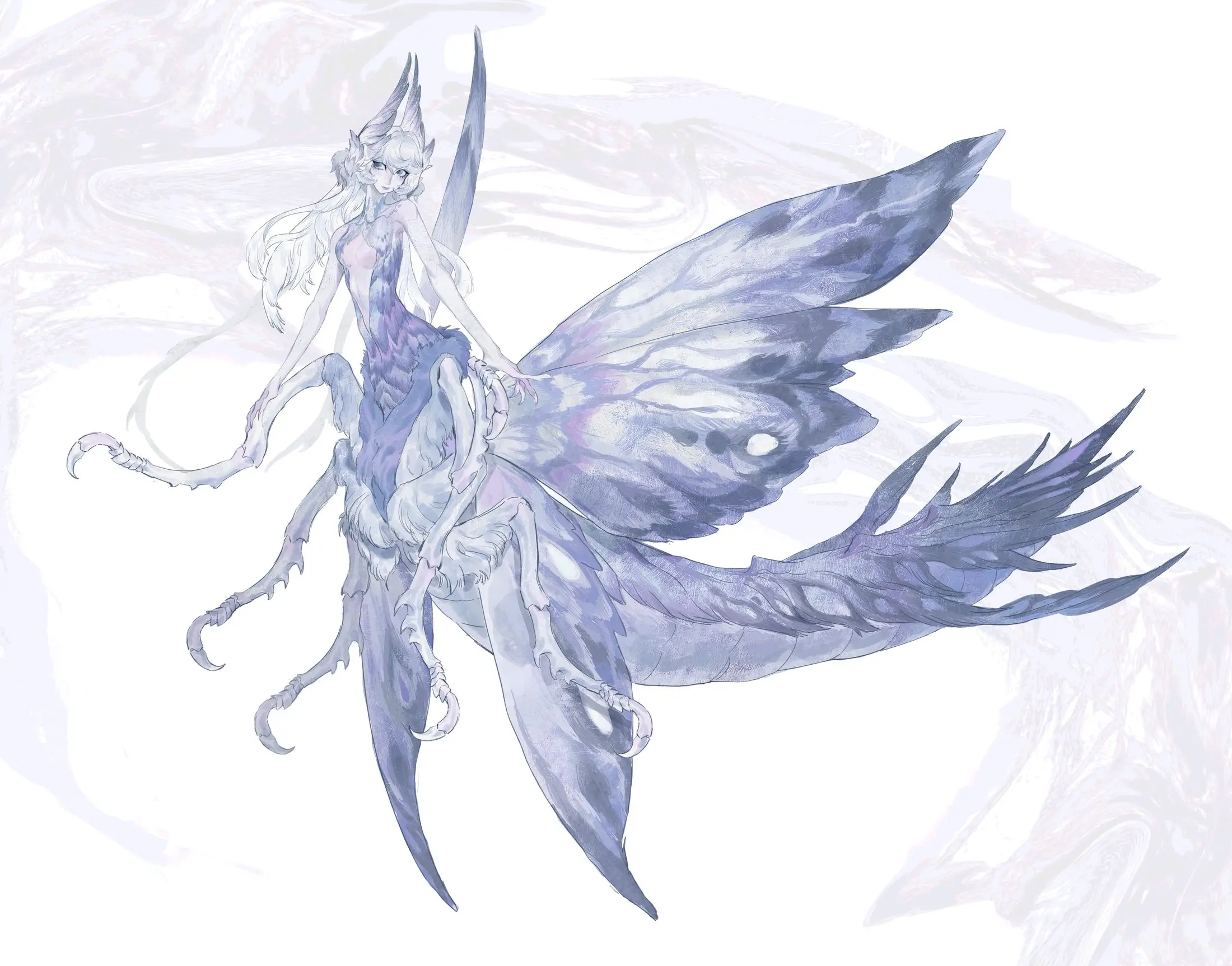 霜蛾 · Actias gelida