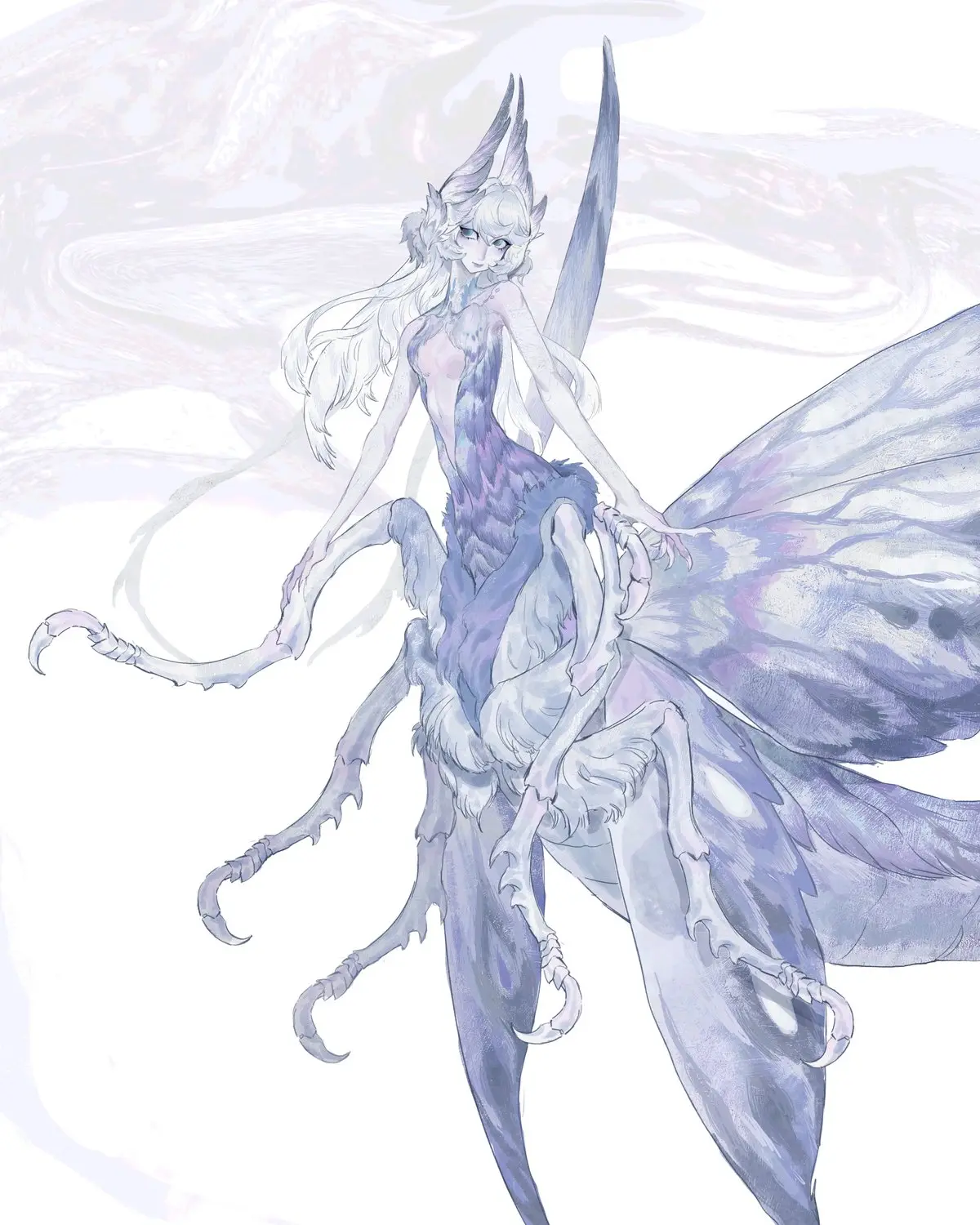 白夜枭作品 · 霜蛾 Actias gelida