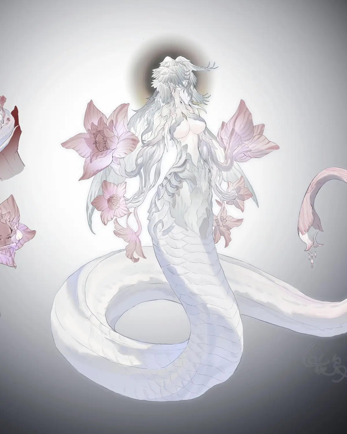 白夜枭作品 · 睡莲 Nymphaea somni