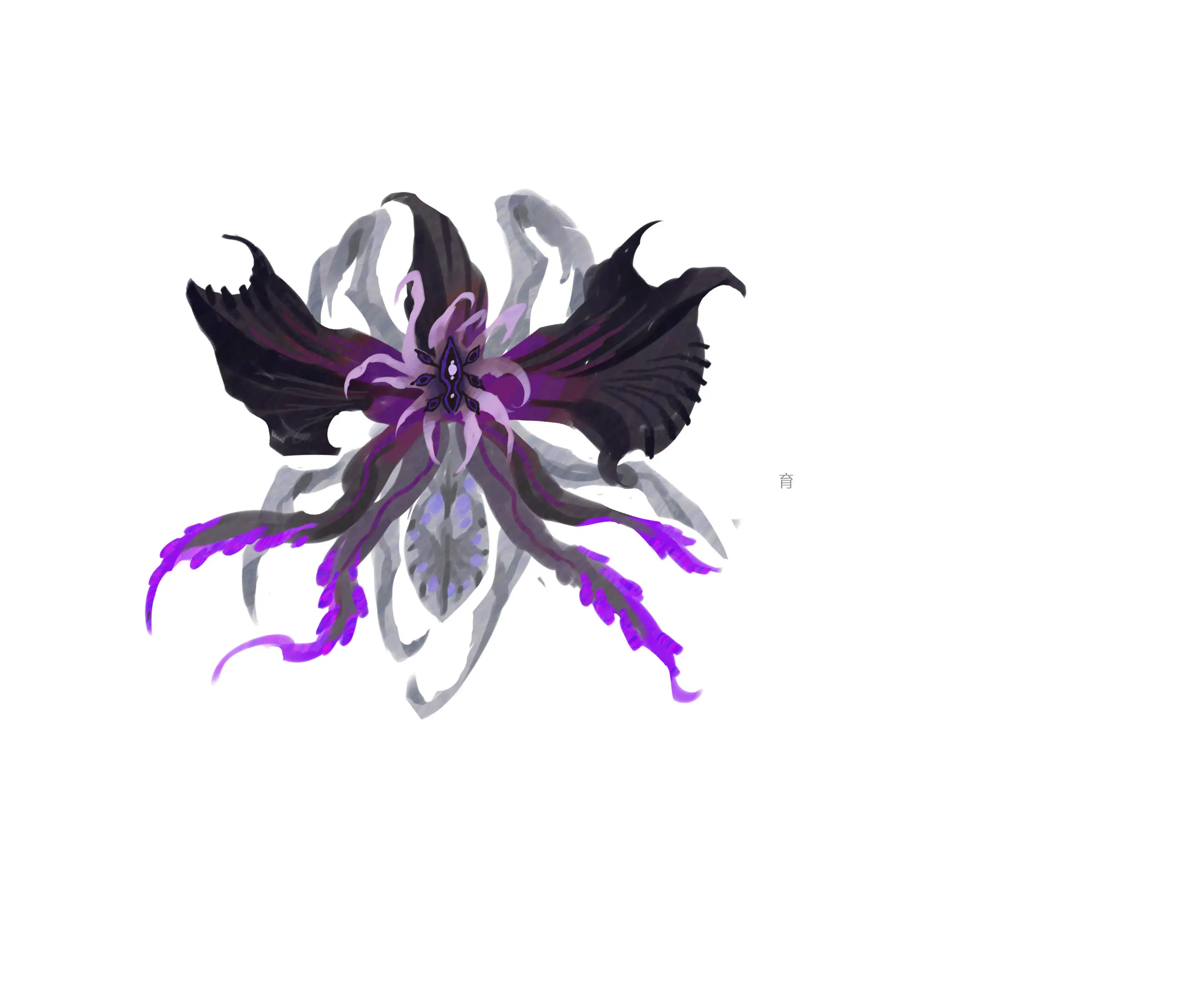 紫甲蛛祟 · Arachne purpurea