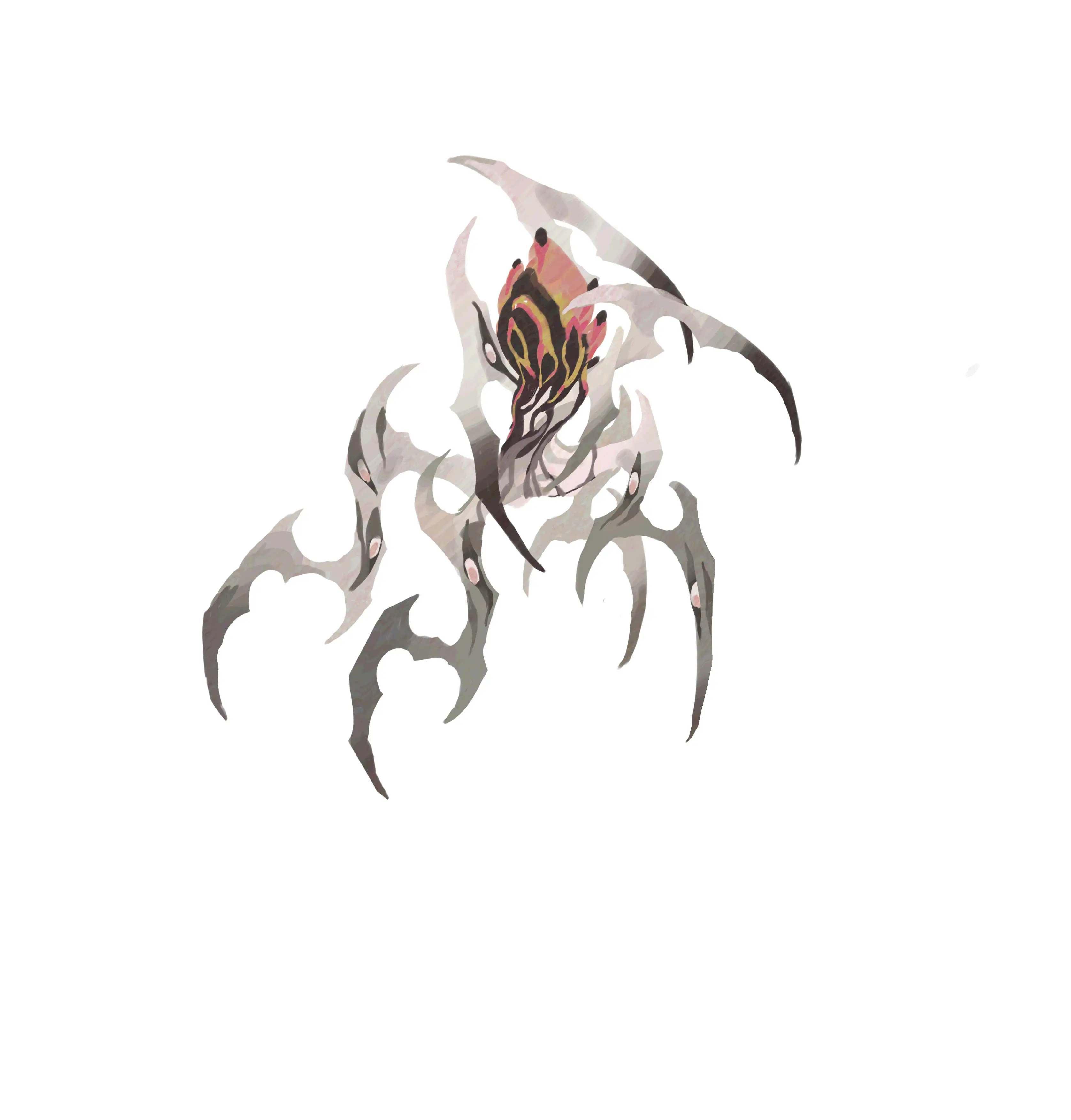 枯甲行镰 · Falx arida