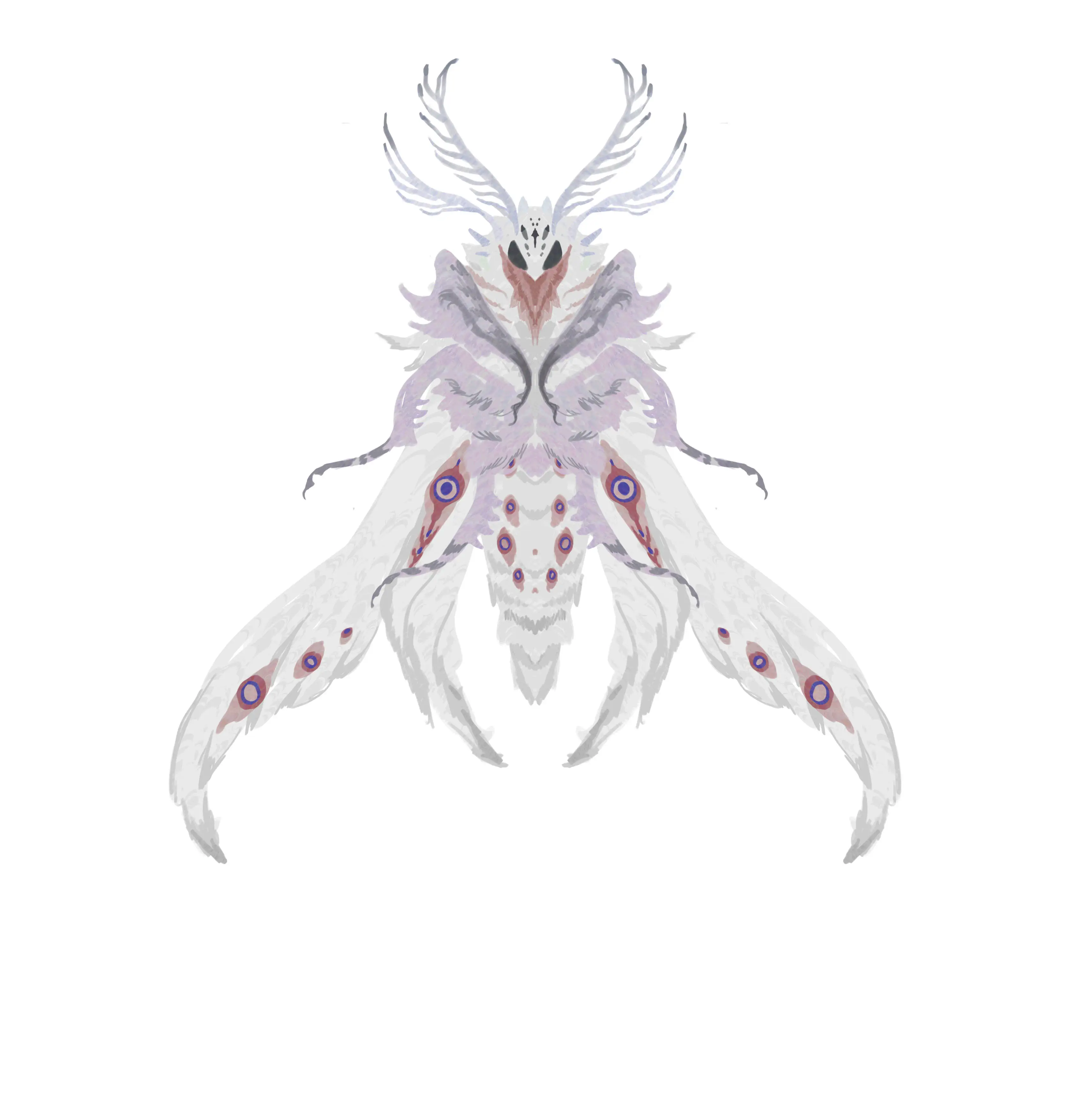 白棘圣像 · Icon spinosum