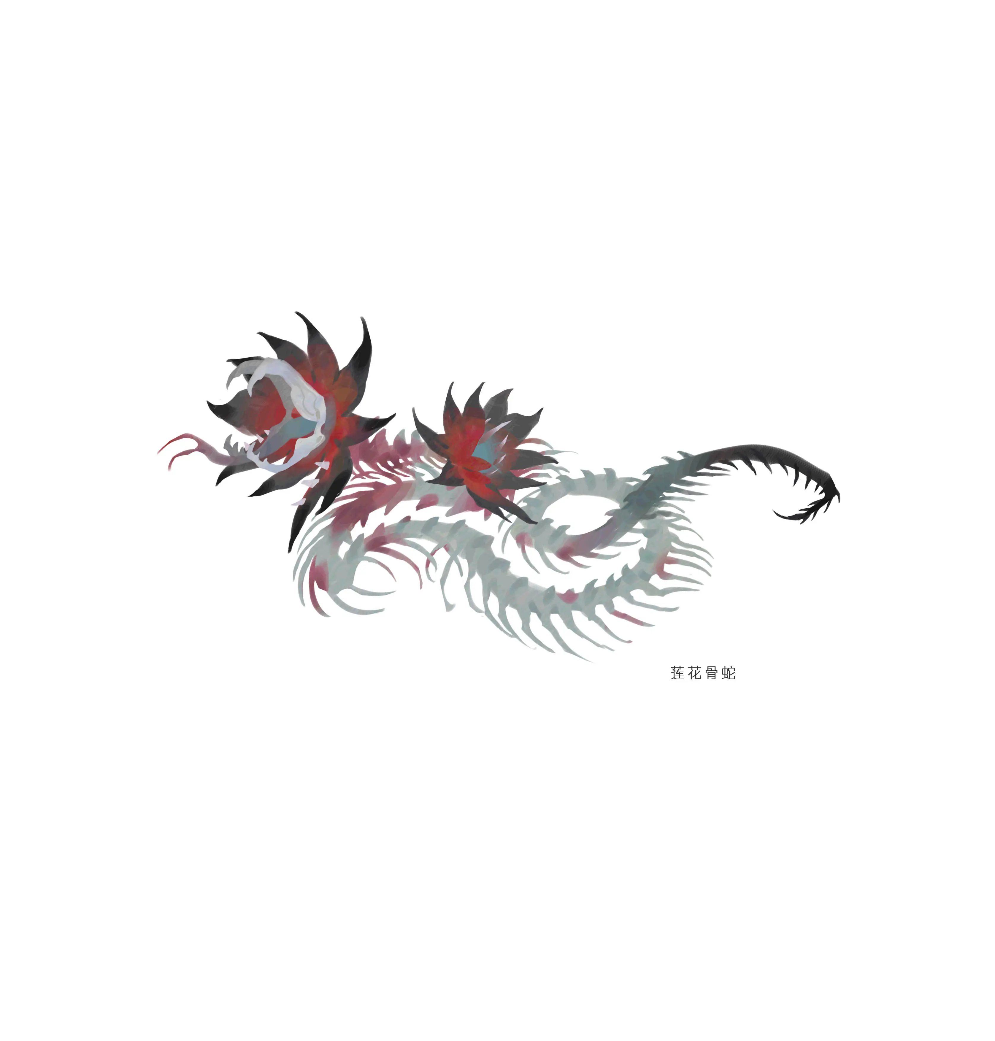 赤尾游祟 · Cauda rubrifera