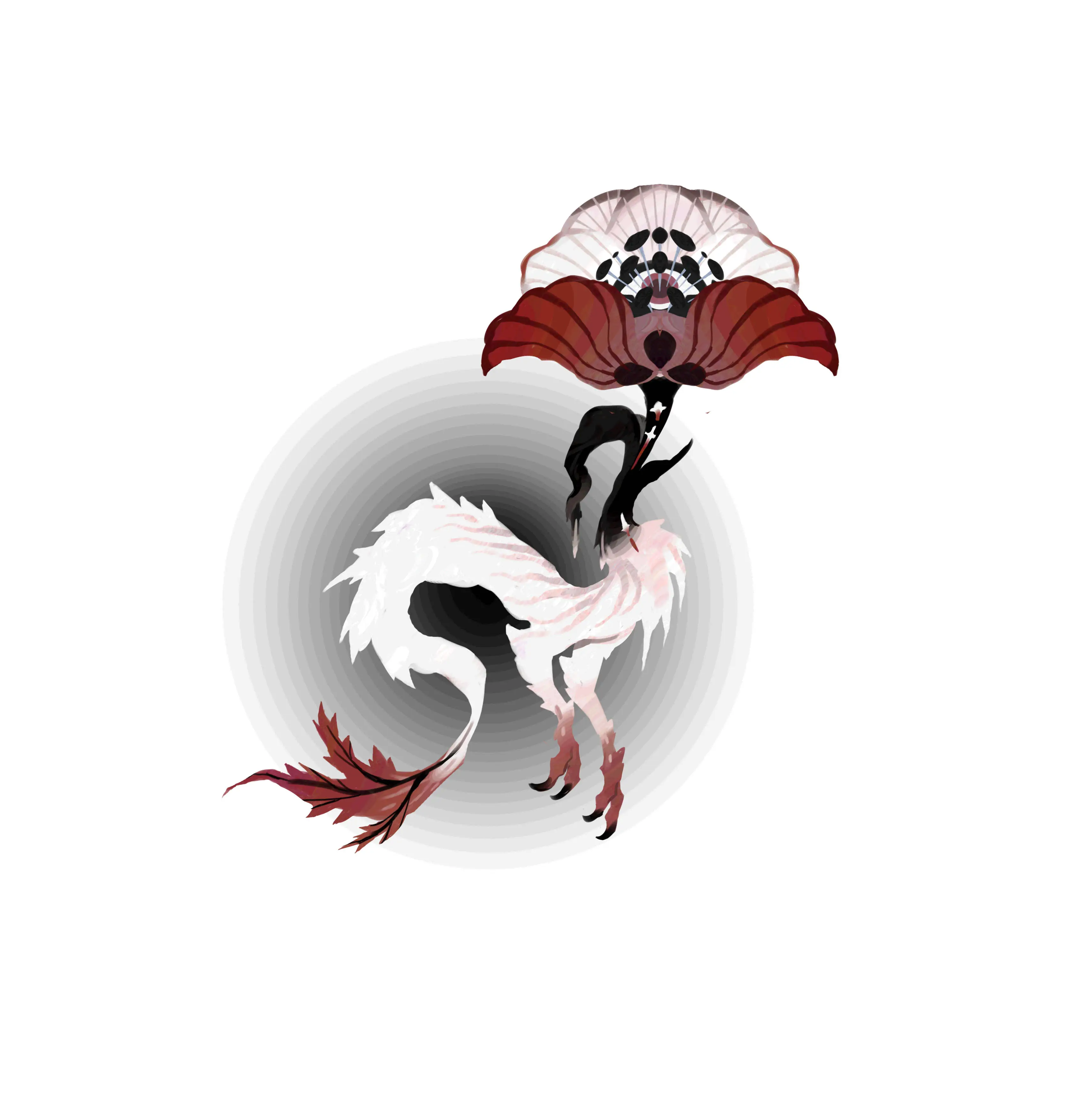 黑冠绯翼 · Ala coronata